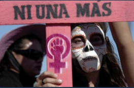 Nuestras Hijas de Regreso a Casa