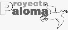 Proyecto Palomas. Casa productora de Audiovisual para el activismo social